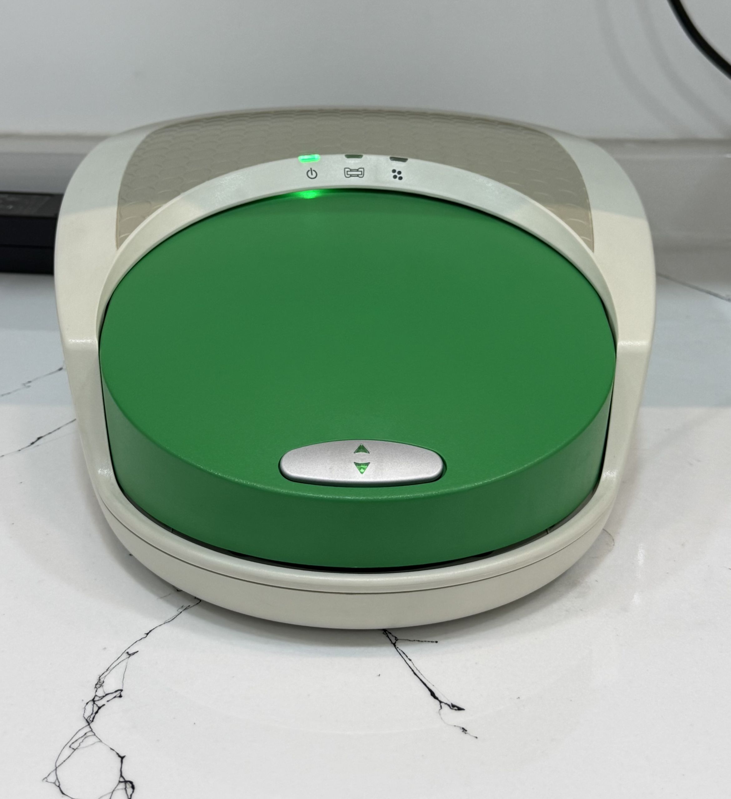 Conventional PCR