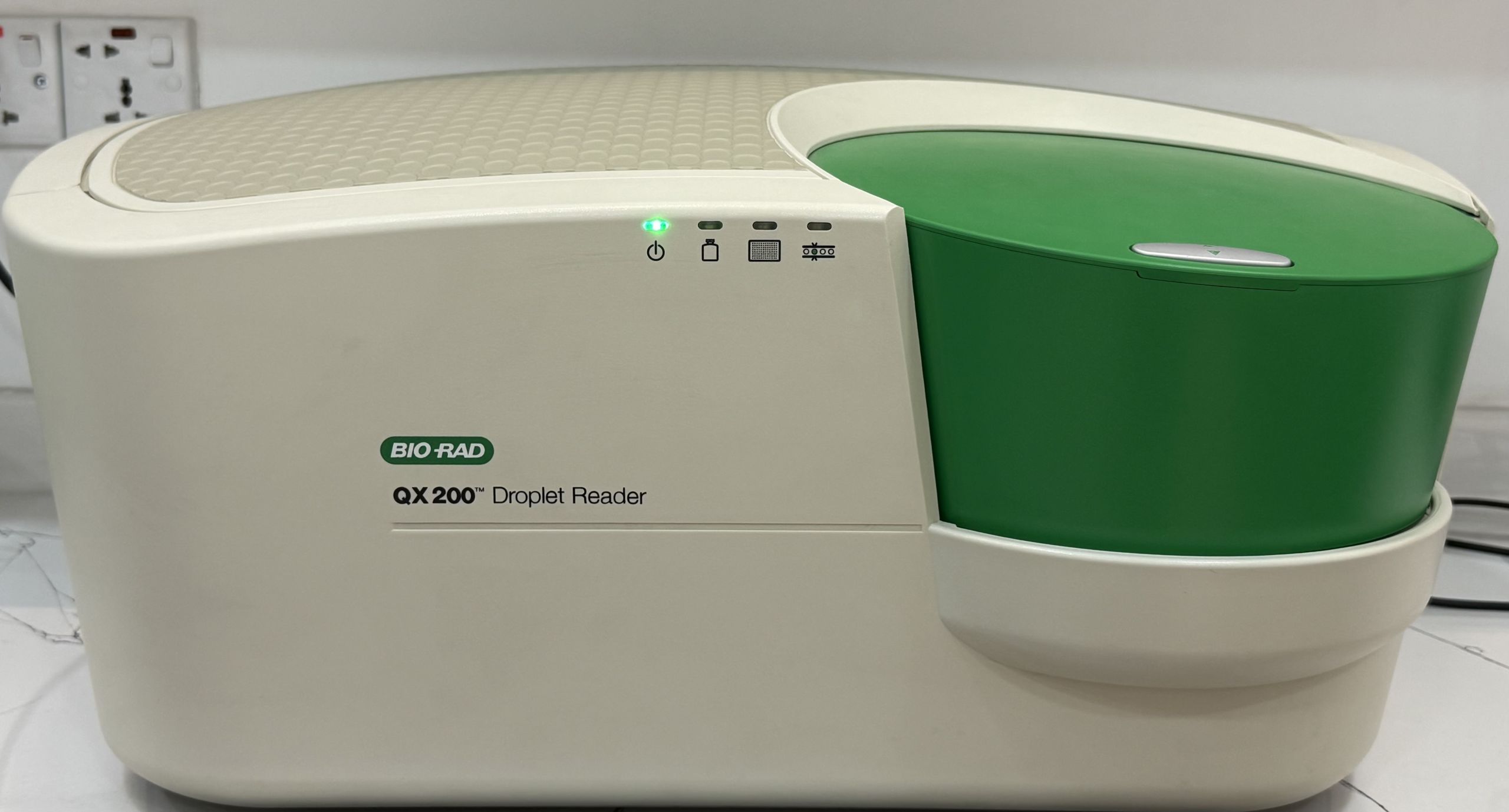 Conventional PCR