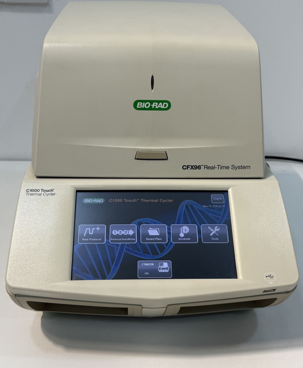 Conventional PCR